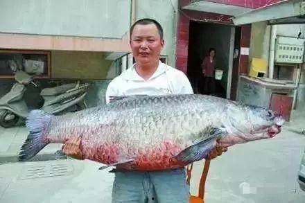 青魚視頻國產(chǎn)在線,國產(chǎn)在線影視盛宴，盡享視聽盛宴