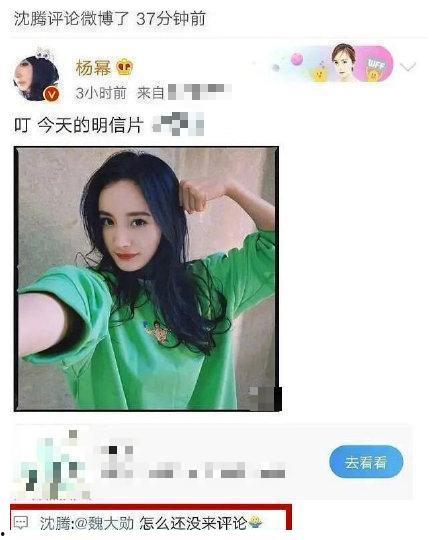 娛樂八卦吃瓜圖片表情包可愛,娛樂八卦表情包大集合