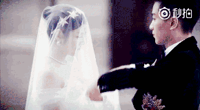 娛樂圈吃瓜陳曉微博