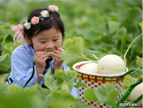 娛樂吃瓜醬農村小名